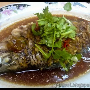 Steamed Tilapia