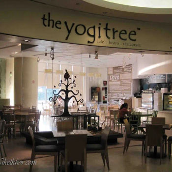 The Yogitree