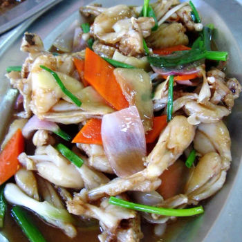 Stirfried Frog with Ginger & Spring Onion (姜葱田鸡)