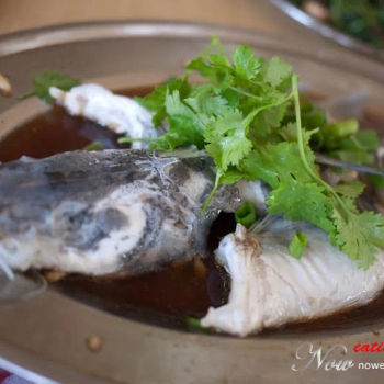 Steamed Bom Fish 清蒸白须公鱼