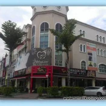 Dragon Gate Dim Sum Kota Damansara