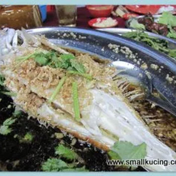 Steamed Chicken Fish