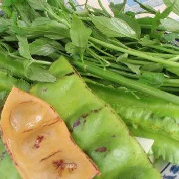 Ulam (raw vegetables)