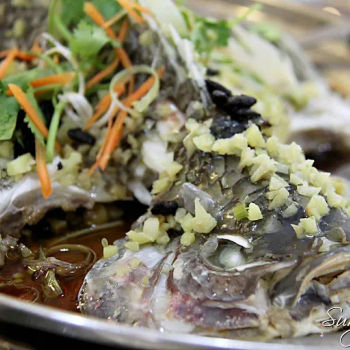 7even Recipe Steamed Taipan Fish with Douchi (七味豆豉蒸大班鱼)