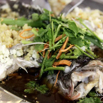 Steamed Taipan Fish with Soysauce (酱油蒸大班鱼)