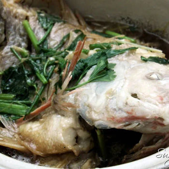 Claypot steamed Tilapia (生煲清蒸金凤鱼)