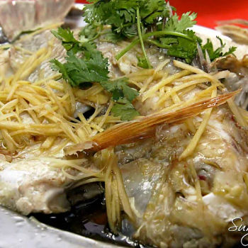 Steamed Tilapia (清蒸金鳳魚)