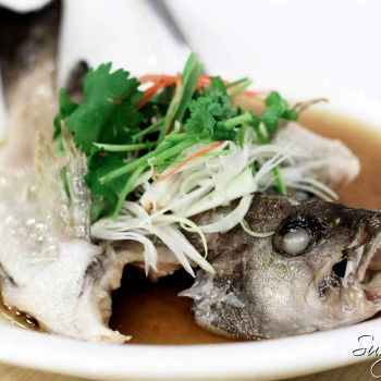 Steamed Grouper @ (清蒸石斑)