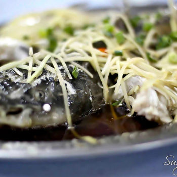 Soy Steamed Silver Catfish (酱油蒸白苏公)