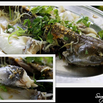 Soy Steamed Patin (Silver Catfish)