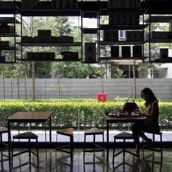 Three Little Birds Coffee