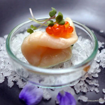 Scallop Ceviche 
