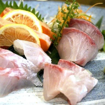 Sashimi