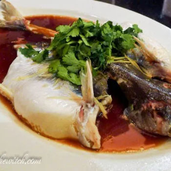 Steamed patin fish with superior soya sauce