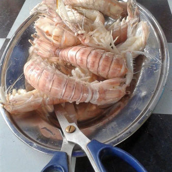Steamed Mantis prawn.