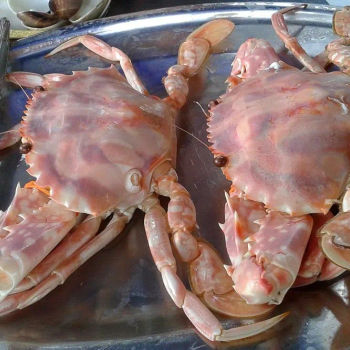 Steamed Flower crabs
