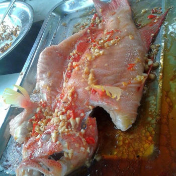 Seven Star Grouper fish-steamed to perfection with just chopped garlic and chillies in light soy sauce