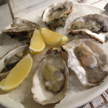 Fresh Oysters