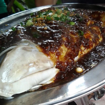 Soong Yee Thau-with fermented black bean sauce and lots of chillies padi-very, very fresh and smooth fine flesh