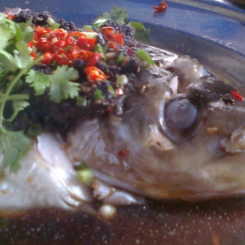 Shoong Yee Tau-steamed Big Head Carp fish with tau cheong, garlic, Bird's Eye chillies and light soy sauce-very fresh with no fishy aftertaste but the chillies
