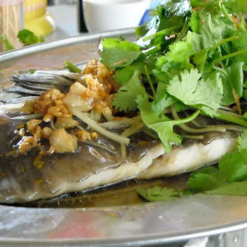 Steamed river Patin