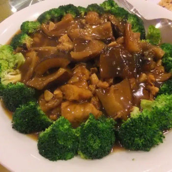 Braised Sea Cucumber And Fish Maws With Broccoli