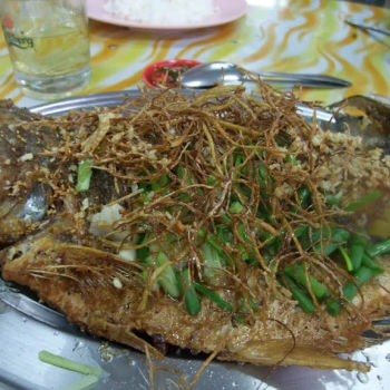 Deep Fried Ma Yeaw Yee