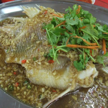 Steam Tilapia Fish With Ginger