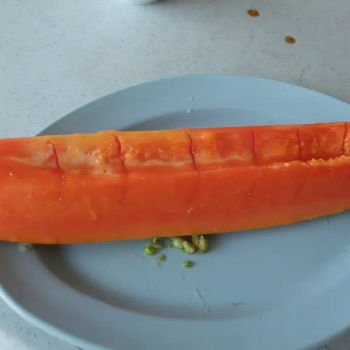 Papaya