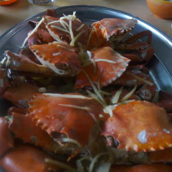 Steam Crab
