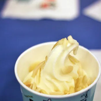 Moo Cow Frozen Yogurt Seasonal Peach Froyo