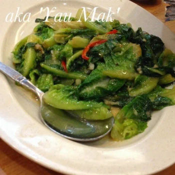 Romaine Lettuce aka 'Yau Mak'