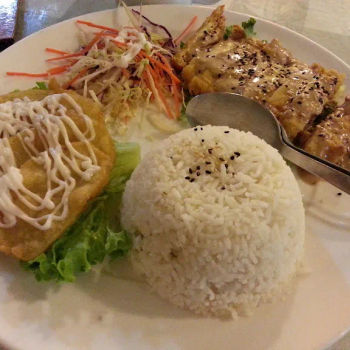 Special Chicken chop rice