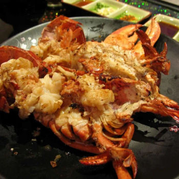 Lobster