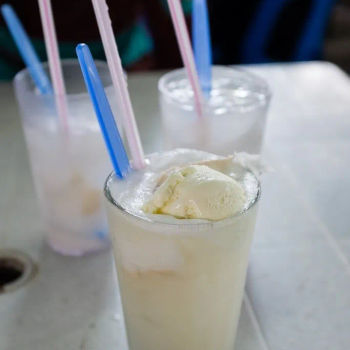Coconut Shake