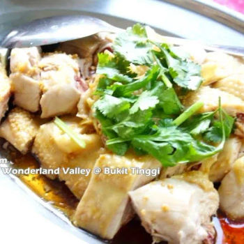 Steamed Holland Chicken 