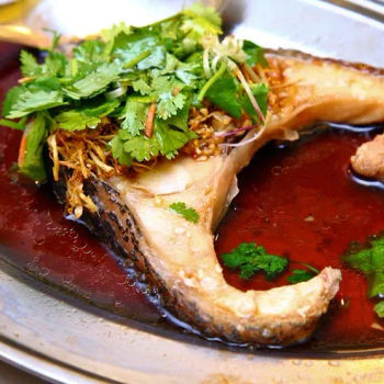 Tiger Dragon Grouper 