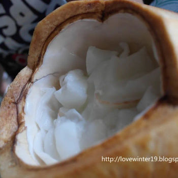 Grilled coconut
