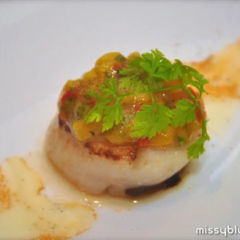 Scallop