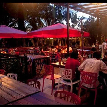 The outdoor dining area, with the touch of nature