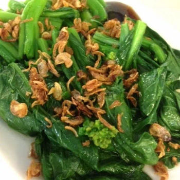 Blanched Choy Sum with Oyster Sauce