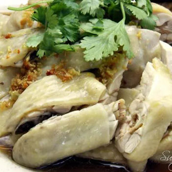 Happy Kampung Chicken/走地甘榜鸡