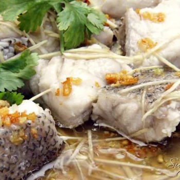 Steamed Grouper with Minced Ginger/姜茸石斑