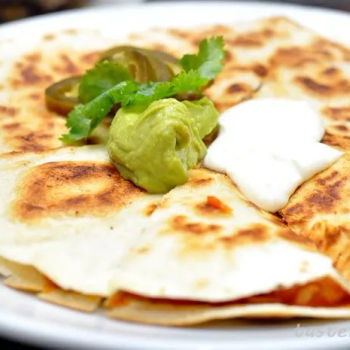 Chicken Quesadilla