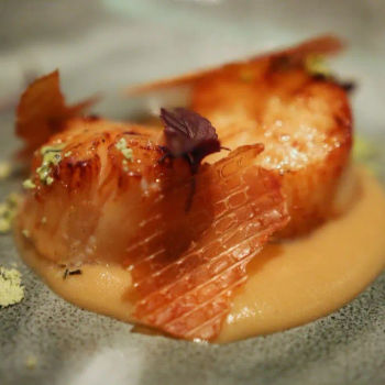 Scallop from Hokkaido, Japan