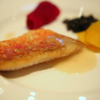 Red Mullet from Brittany, France