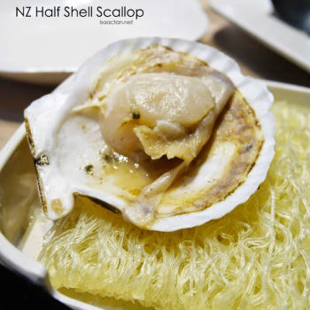NZ Half Shell Scallop