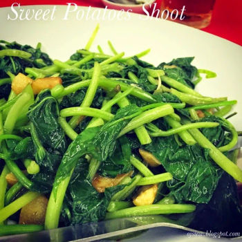 Sweet Potatoes Shoot