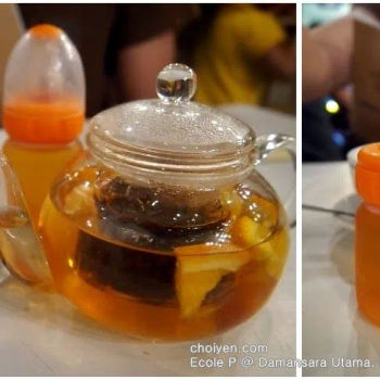 Chinese Teacher (single pot)