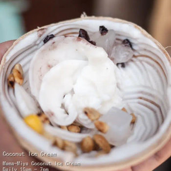 Coconut Ice Cream